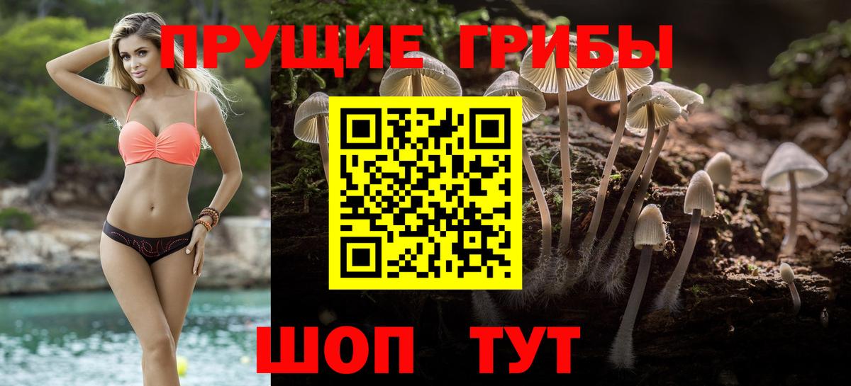 Псилоцибиновые грибы ЛСД Хасавюрт