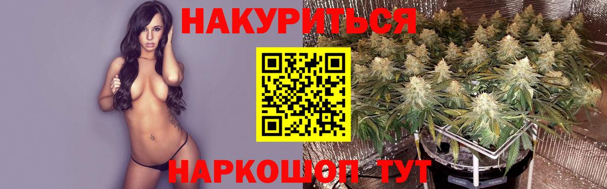 Бошки марихуана индика Хасавюрт